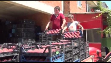 Bursa'da şeftali hasadı çiftçileri memnun etti