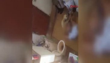 Ayaklarını hortumla bağladığı köpeğe tecavüz etti