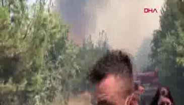 Bursa Nilüfer'de orman yangını -2
