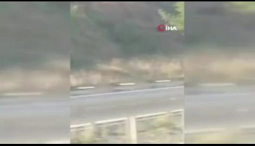 Hem kendi hem de başkalarının canını hiçe saydılar