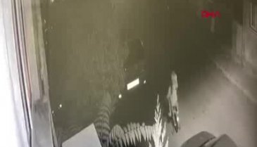 3 çocuğun kıl payı ölümden döndüğü anlar kamerada