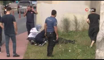 Aracını yol kenarına park eden şahıs viyadükten atladı