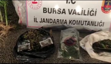 Bursa'da uyuşturcu operasyonu