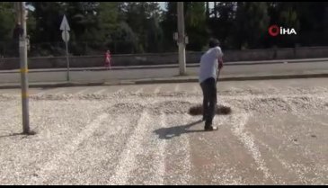 Bursa'da çekirdekleri çevre yolunda kurutuyorlar