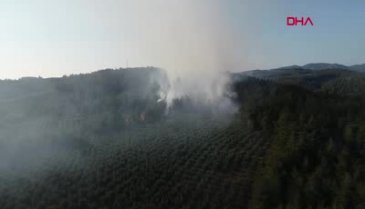 Bursa'da büyük yangın! (drone)