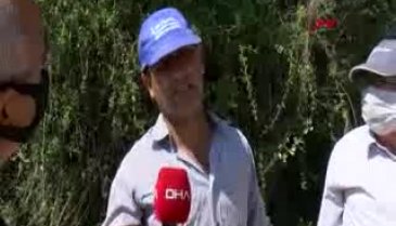 Yürek yakan an: Baba, böyle ölmek var mı?