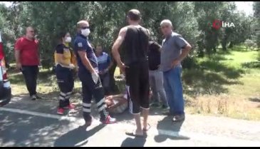 Bursa'da lastiği patlayan araç zeytinliğe uçtu: 1 yaralı