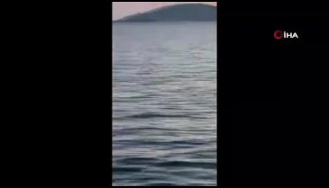 Büyükada açıklarında tekne battı