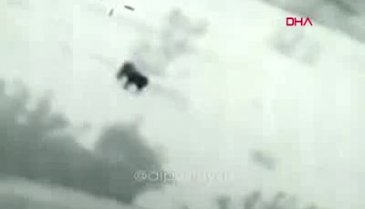 Nesli tamamen yok olduğu düşünülüyordu!