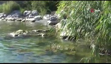 Bursa'da göl çekilince kaynak pınarlar ortaya çıktı