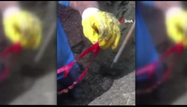 Bursa'da kanalizasyona düşen altınlar için yolu kazdılar