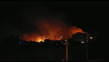 Armutlu'da orman yangın!
