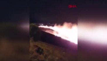 Armutlu'da orman yangın! - 2