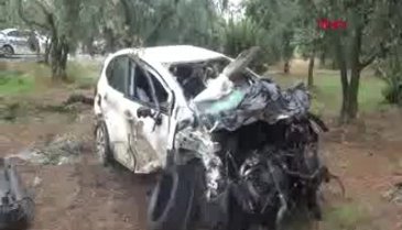 Bursa'da tarlaya girip, zeytin ağacına çarpan otomobilin sürücüsü hayatını kaybetti