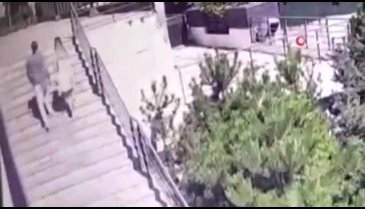 Lüks rezidanstaki feci ölümün görüntüleri ortaya çıktı