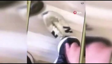 Önce ayakkabılarını parçaladı, sonra arabaya binerken kurşun yağdırdı
