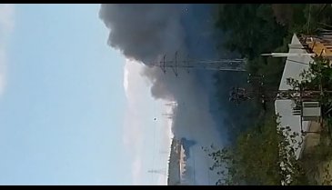 Bursa Gölbaşı mevkinde orman yangını -2