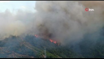 Bursa Gölbaşı mevkinde orman yangını -4