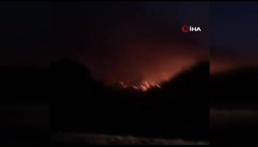 Adana'daki orman yangını devam ediyor!