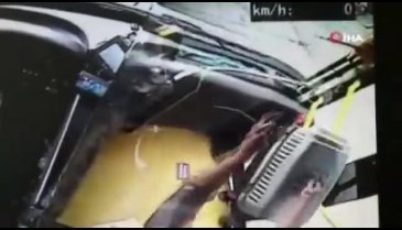 Otobüste kafesinden kaçan kedi ortalığı birbirine kattı