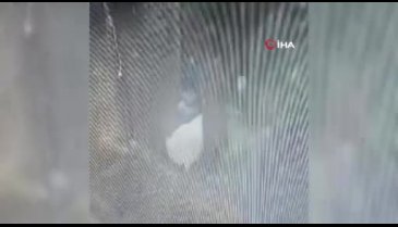 Bursa'da yemek tüpü ve bisiklet çalan 2 hırsız kameraya yakalandı