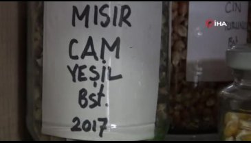 Bursa Tohum Kütüphanesi'nde 500 çeşit yerli tohum bulunuyor