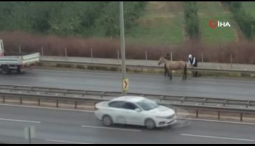 Bursa'da başıboş at dehşet saçtı, o anlar güvenlik kamerasına yansıdı