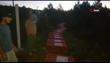 Bursa Karacabey'de tabiata bin sülün salındı