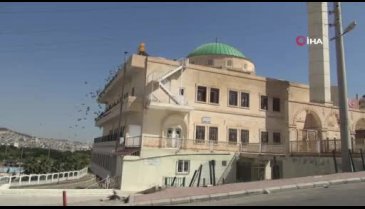Şanlıurfa'da cami avlusunda şoke eden görüntü