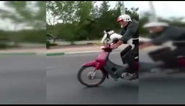 Bursa'da motosikletli köpek kamerada