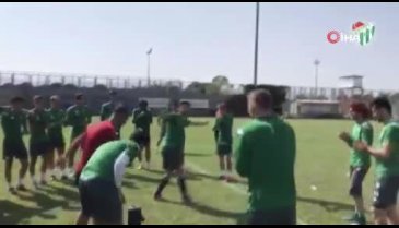 Timsah göbek attı!