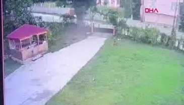 Arı sokan traktör sürücüsü kazada öldü