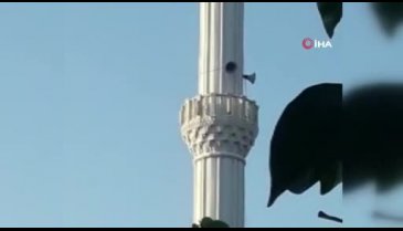Cami minaresinde dolaşan tilki görenleri şaşırttı