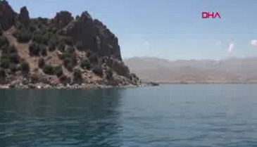 Van Gölü'nde yeni bir canlı türü görüntülendi!