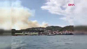 Bursa Mudanya'da yangın -2