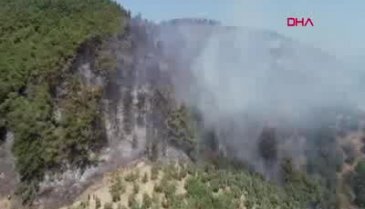 Bursa Mudanya'da yangın (DRONE)