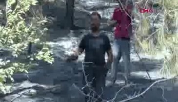 Bursa Mudanya'daki yangın kontrol altına alındı