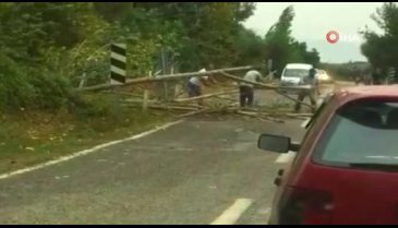 Bursa İznik'te rüzgar ağaçları devirdi, yol trafiğe kapandı