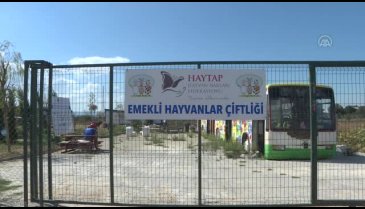 Bursa'da can dostların sevgi dolu sığınağı: "Emekli Hayvanlar Çiftliği"
