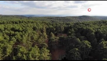 Bursa'nın ormanları drone ile tespit edilip gençleştiriliyor