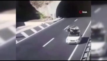 Tünel çıkışında başıboş gezen ineğe otomobil çarptı