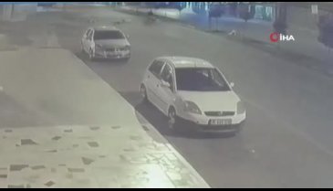 Köpeklerden kaçarken düşüp öldü