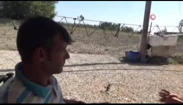 Bahçede otururken kafasına az kalsın göktaşı düşüyordu