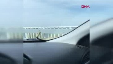 Bursa'da otomobilin kaputundan çıkan yılanı bulamıyorlar -3