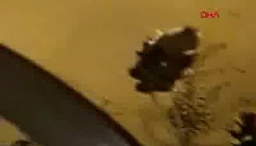 Köpeklere boruyla dayak tepki çekti