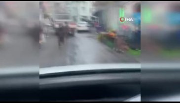 Çocukların tehlikeli oyunu korkuttu