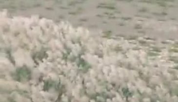Büyükçekmece'de eğitim uçağı düştü