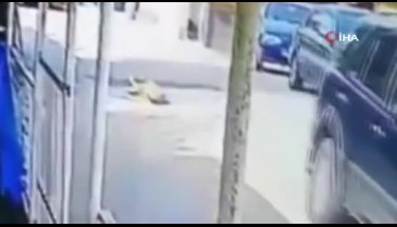 Göz göre göre cipi ile köpeğin üzerinden geçti