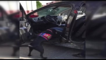 Tekirdağ'da uyuşturucu operasyonu: 5 gözaltı
