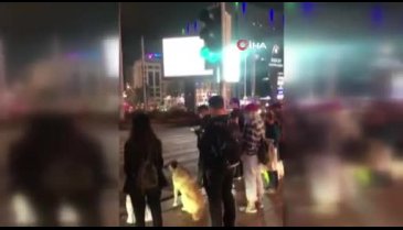 Sokak köpeğinden insanlara örnek olacak davranış!